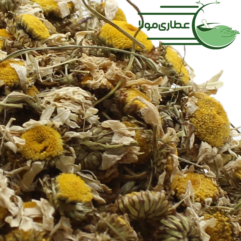 بابونه گاوی