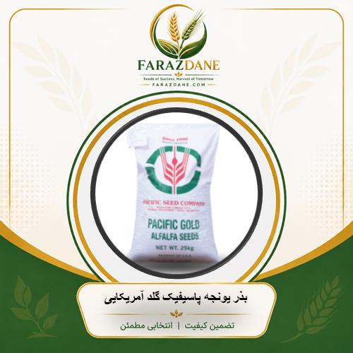 بذر یونجه پاسفیک گلد آمریکایی