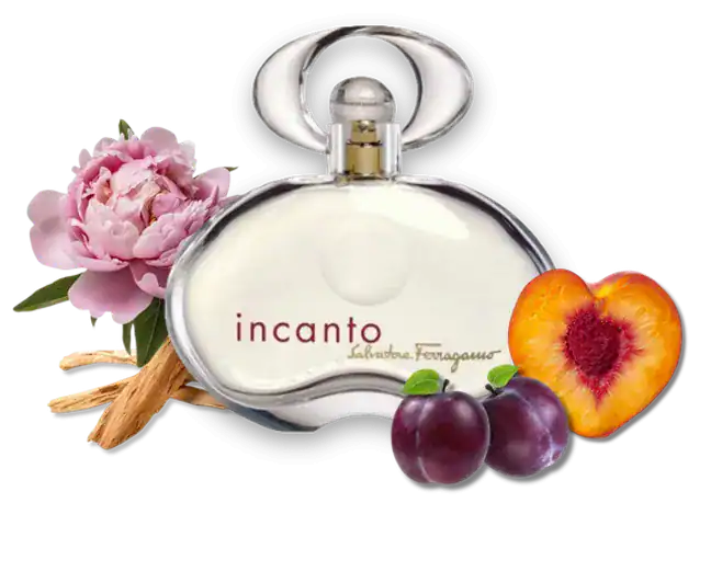 اینکانتو سالواتوره فراگامو | Incanto Salvatore Ferragamo