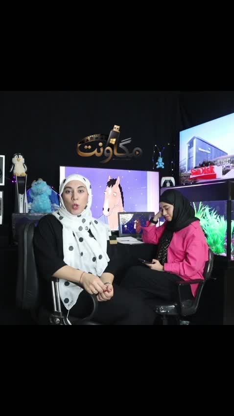 فلش 64 گیگ + انیمیشن بوجک هورسمن BoJack Horseman