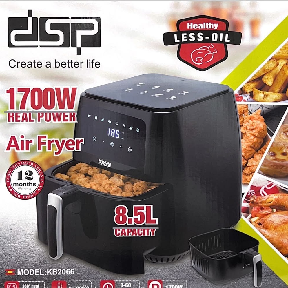 سرخکن dsp 2066
