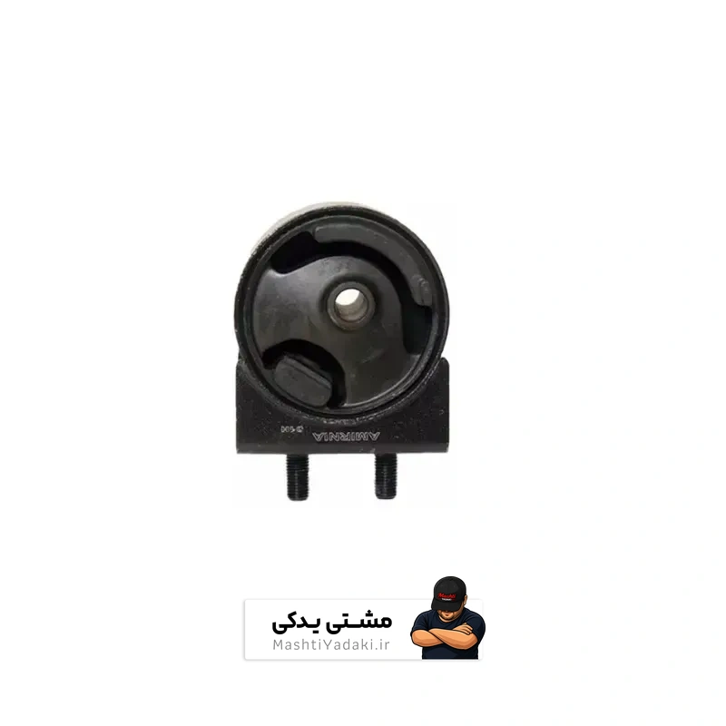 دسته موتور 2 تیبا امیرنیا