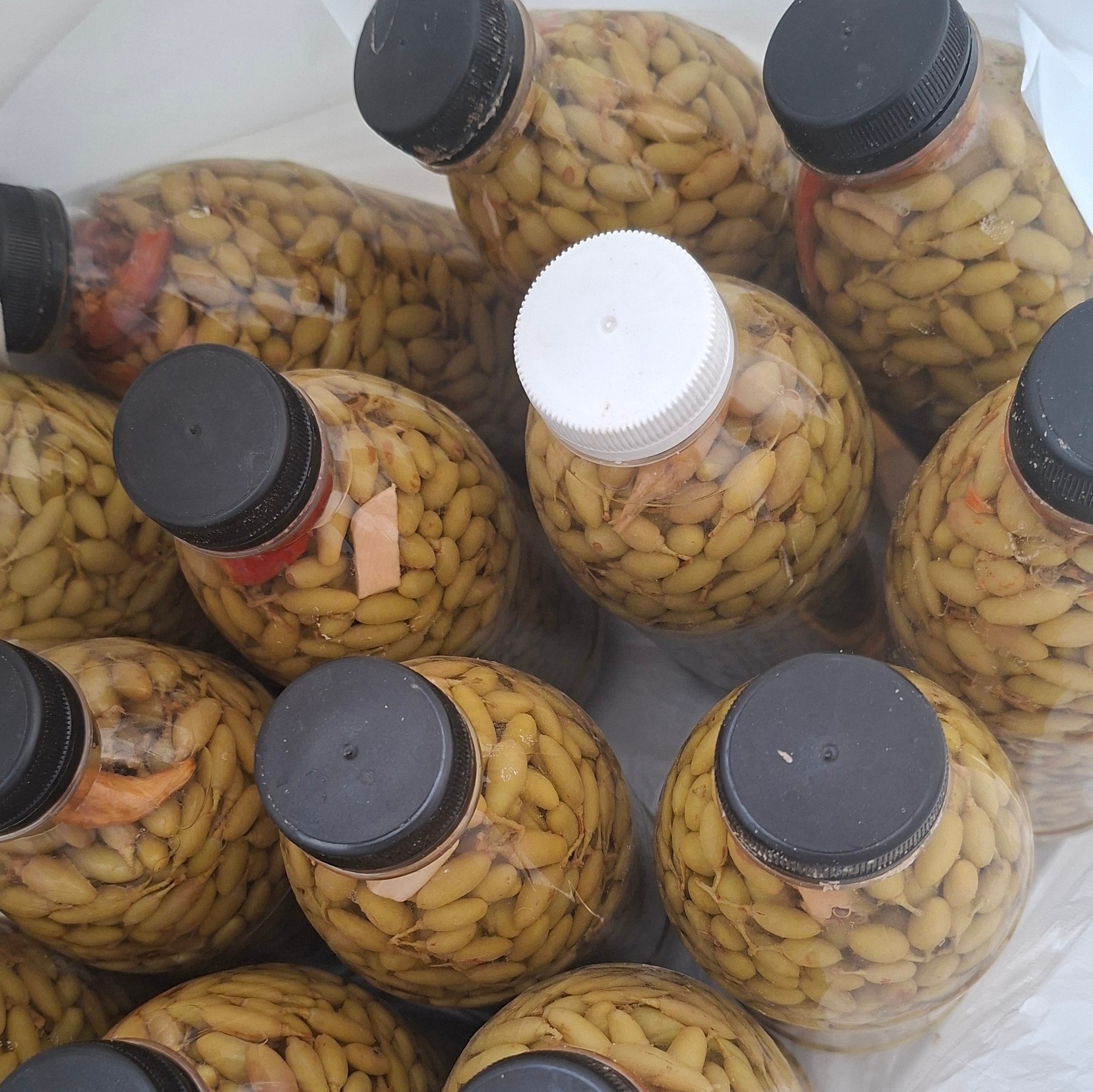 غوره شور امسالی عسگری