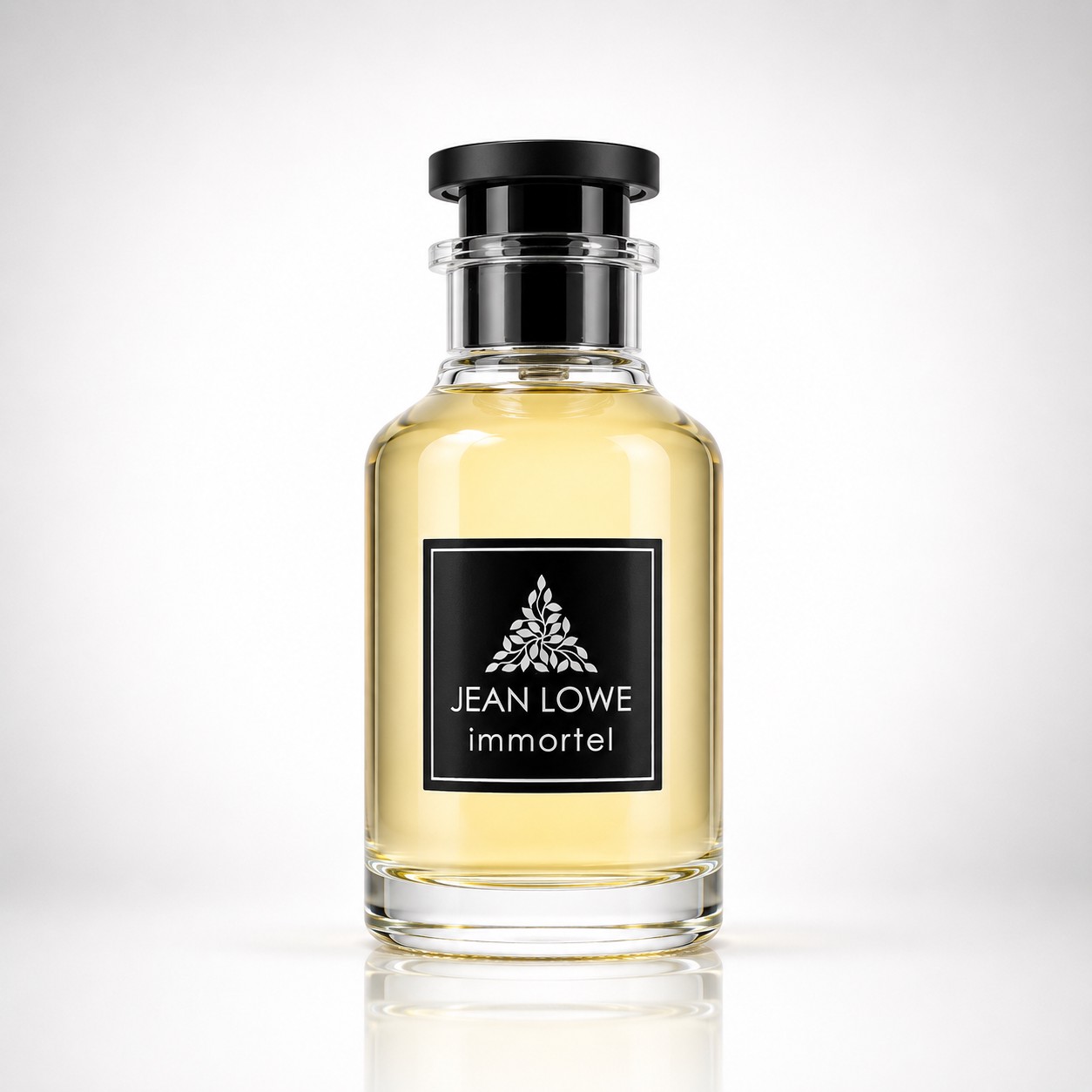 عطر ادکلن Maison Alhambra Jean Lowe Immortel Eau de Parfum 100ml میسون الحمبرا ژان لو ایمورتل
