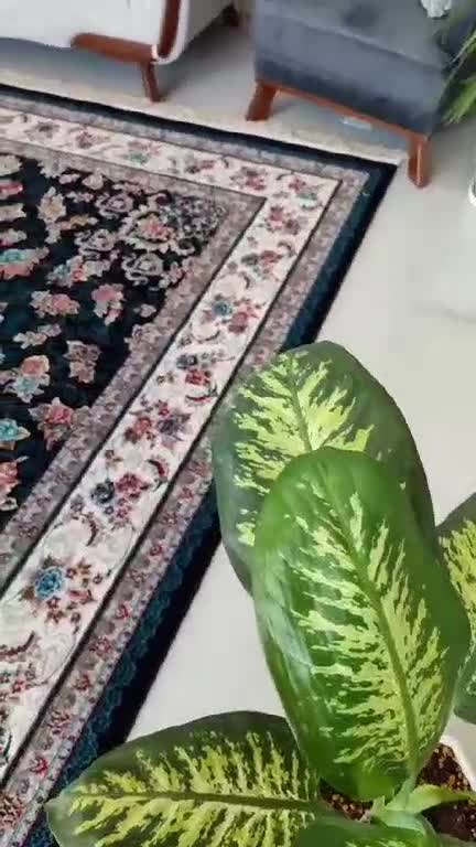 12متری 700شانه تراکم 2100 نخ ورژن طرح گیلدا مشکی