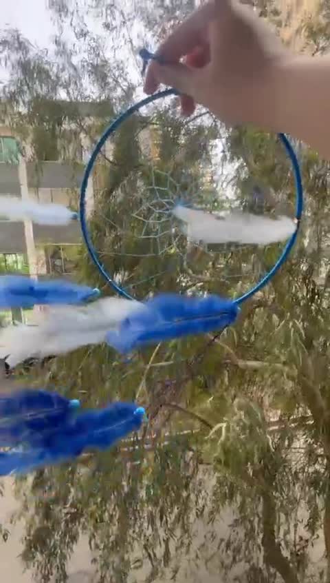 دریم کچر 20 سانت