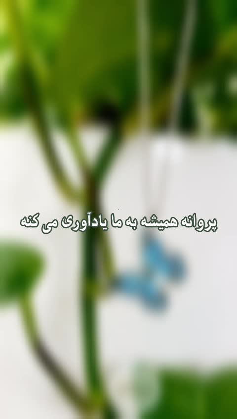 گردنبند پروانه پینترستی