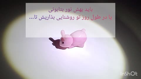 تربچه شبتاب فانتزی تک عددی