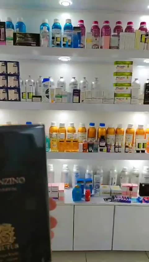 بروتوس برونزینو