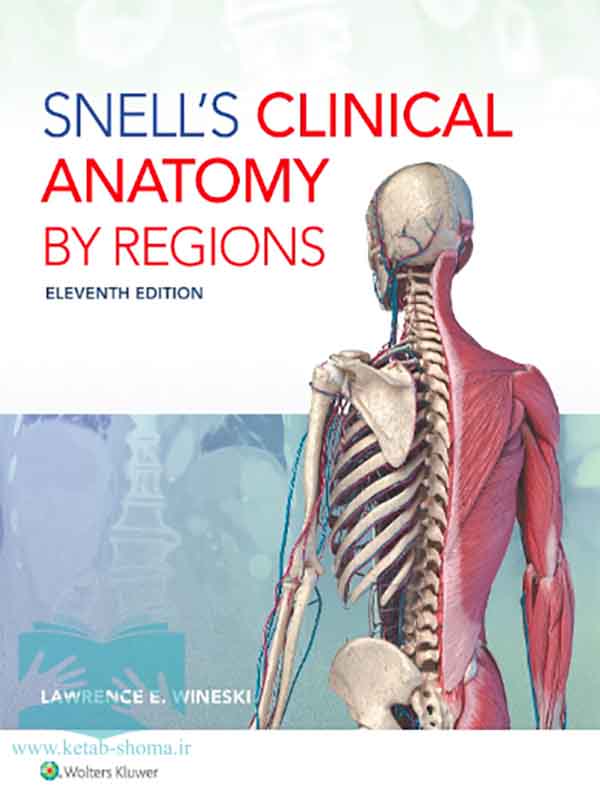 فایل pdf کتاب آناتومی اسنل2025(ویراست11)(Snell's Clinical Anatomy by Regions)