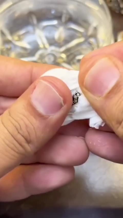 انگشتر مردانه حجرالمزاج با قابلیت تغییر رنگ در برابر سرما و گرما و هیجان و تحرک با رکاب های مختلف