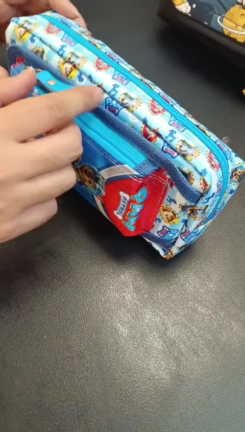 جامدادی برزنتی دو زیپ سویل