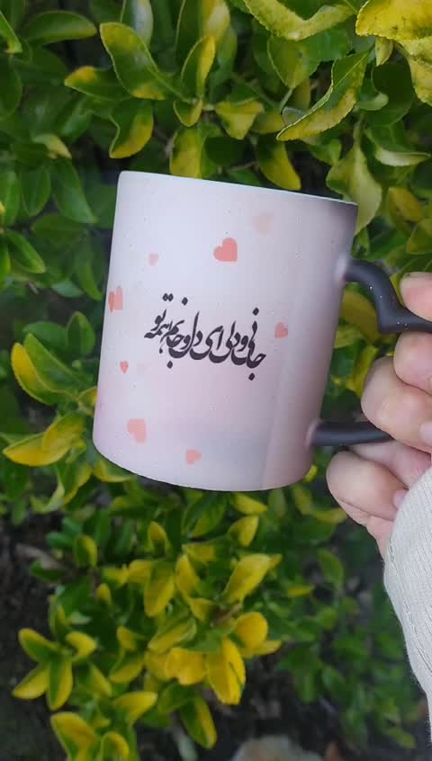 ماگ جادویی شعر جانی و دلی ای دل و جانم همه تو