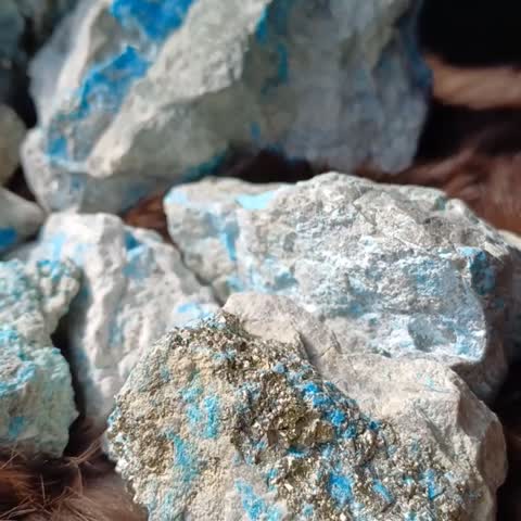 *فیروزه و فیروزه در بستر پیریت*