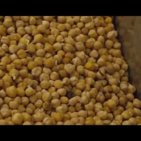 کارتن سویق پفی غلات مهدیار با طعم پیازجعفری 