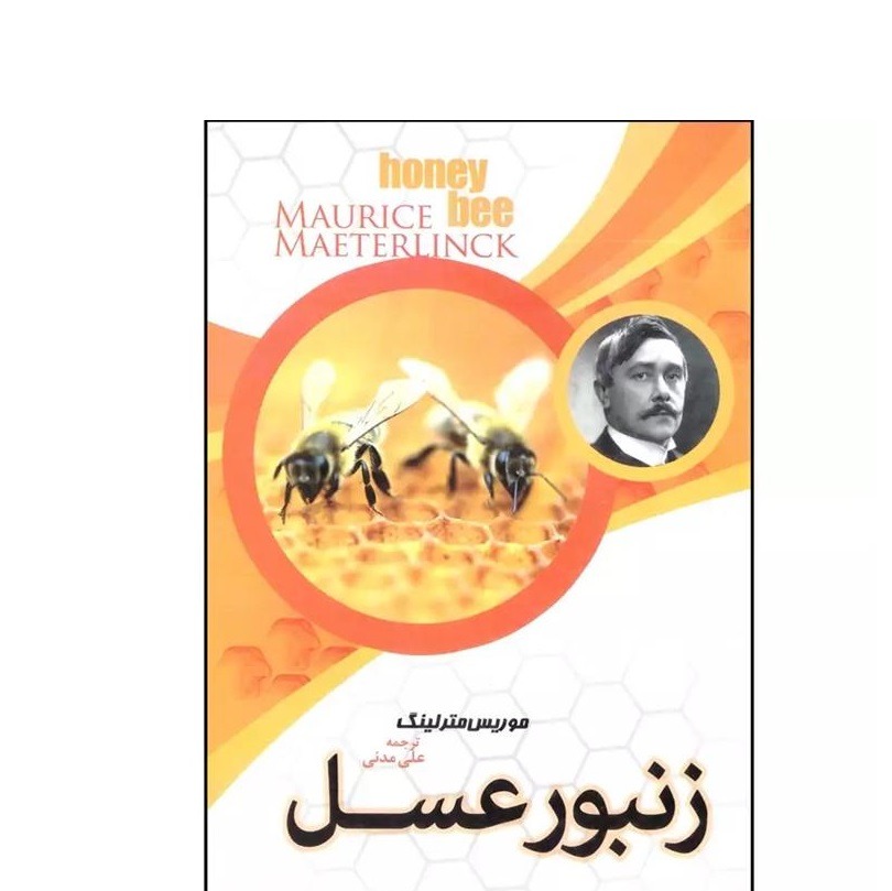 کتاب زنبور عسل اثر موریس مترلینگ نشر مبین اندیشه