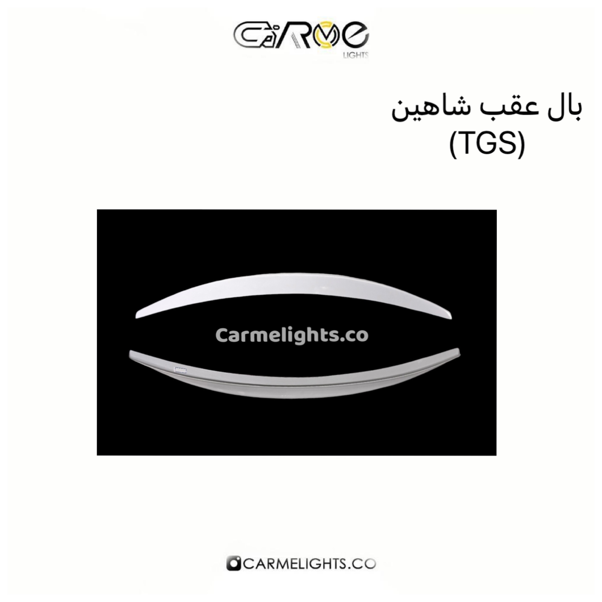 بال عقب شاهین (TGS)