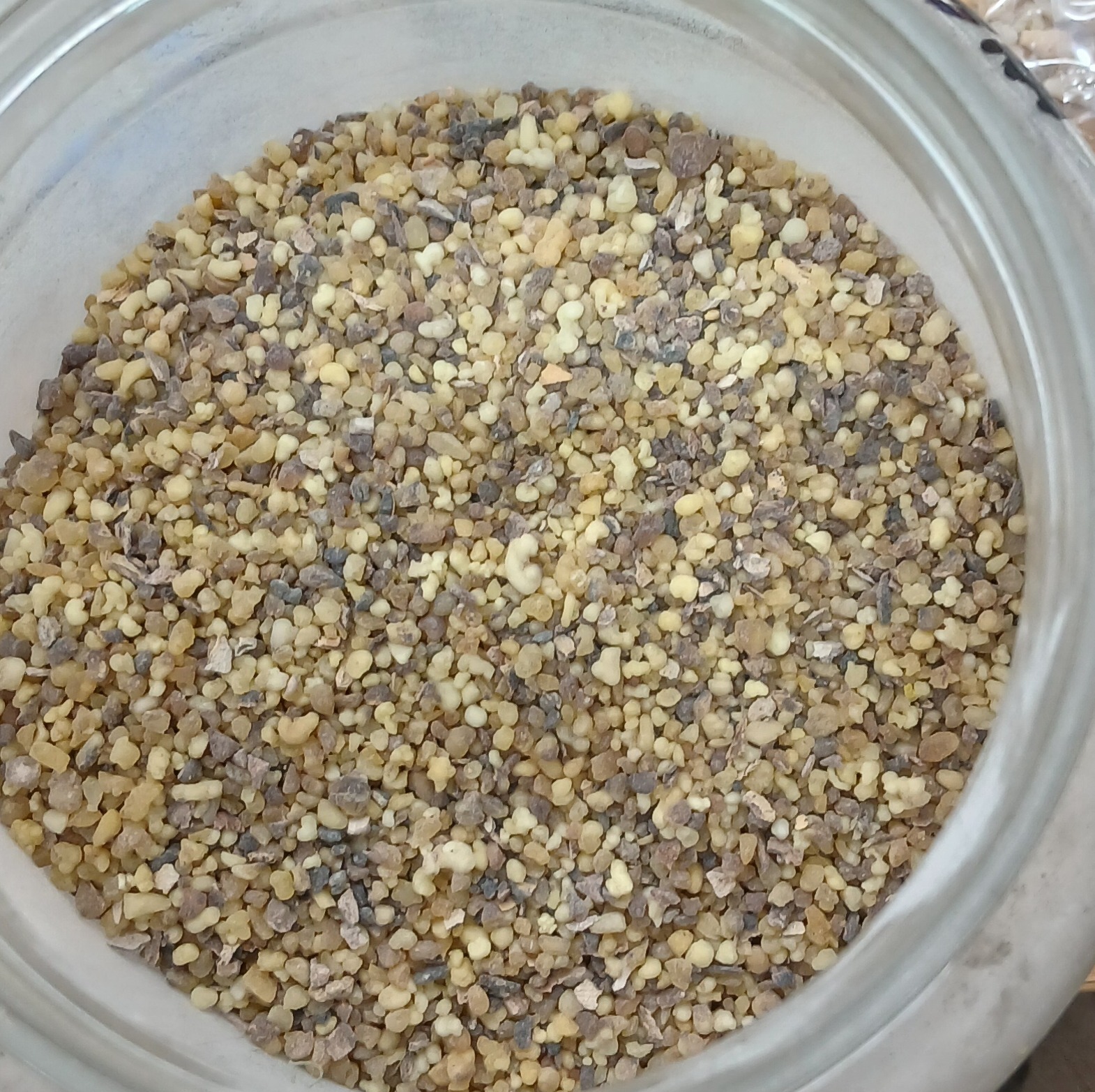 کندر دودی
