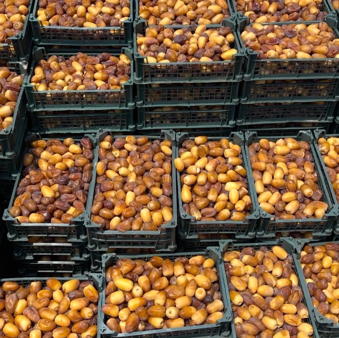 رطب عسلی صادراتی 