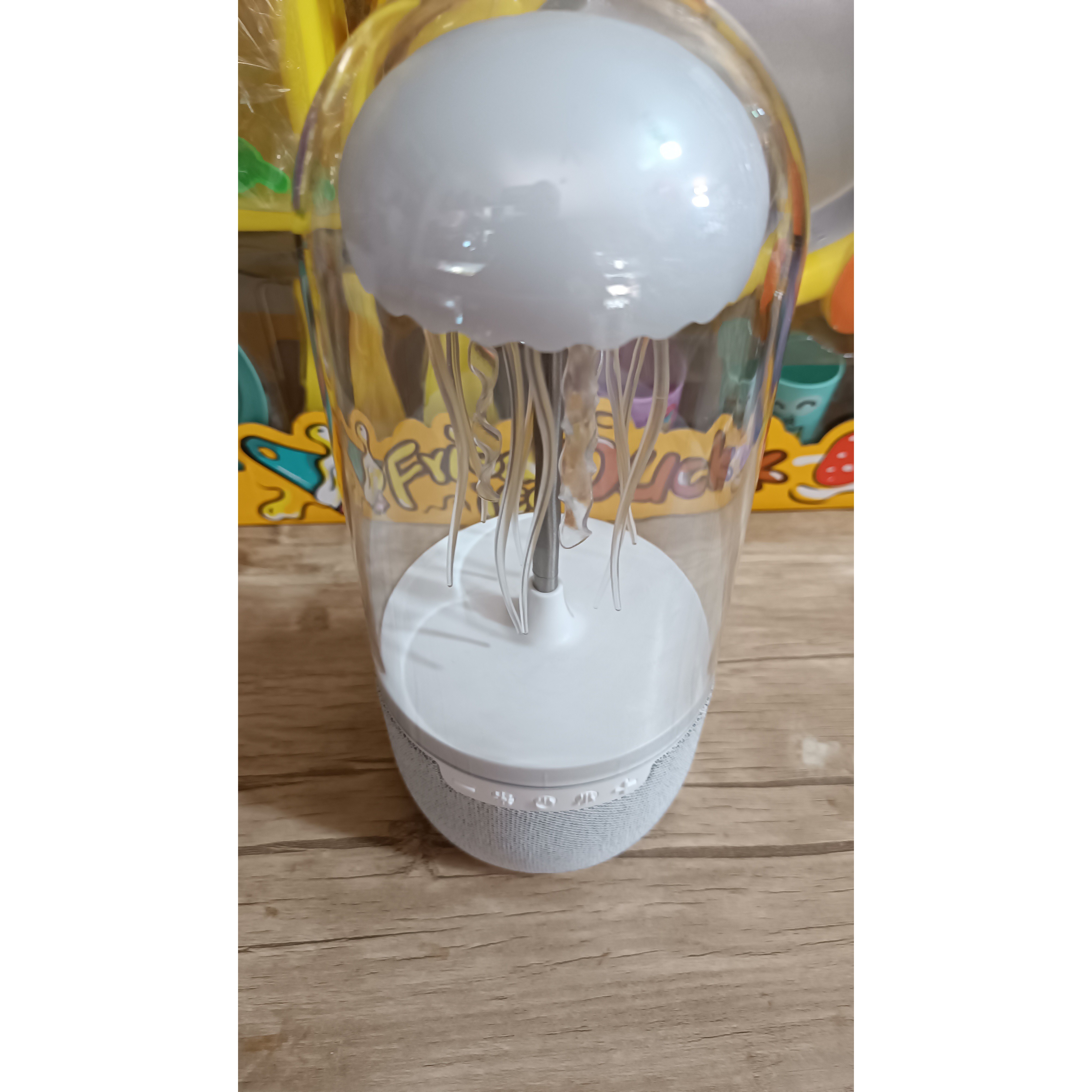 چراغ خواب و عروس دریایی کد 54