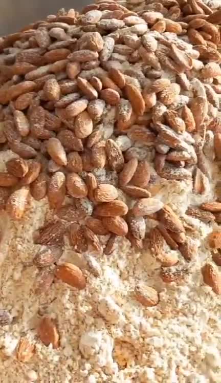 سویق غلات و بادام و سنجد(معجون قد)