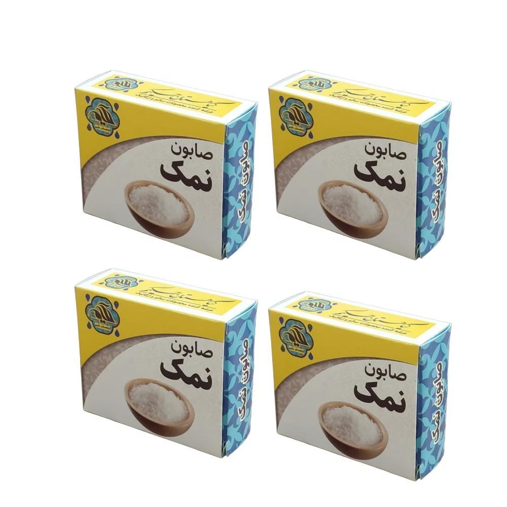 صابون شستشو گیاهستان حکیم مدل نمک وزن 70 گرم بسته 4 عددی