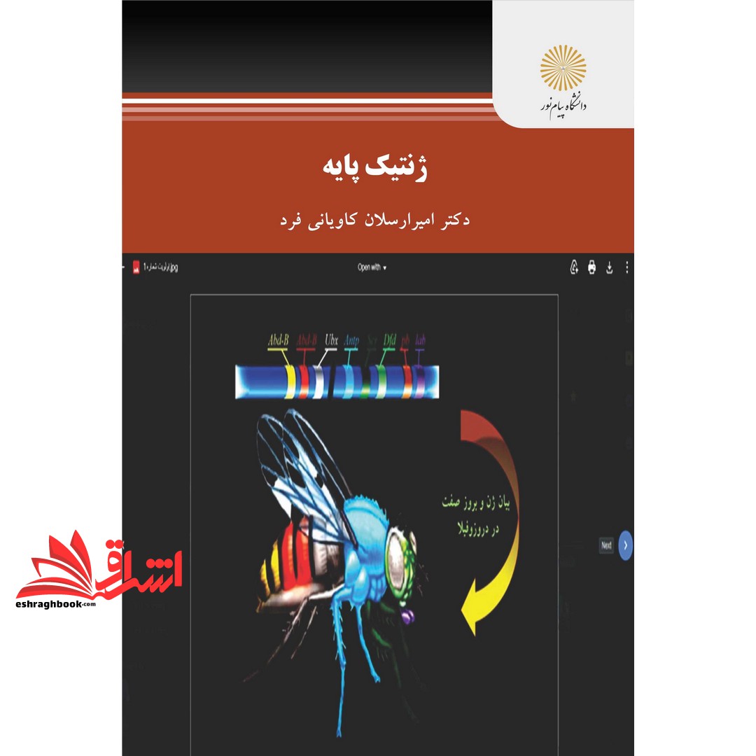 توضیحات تصویر