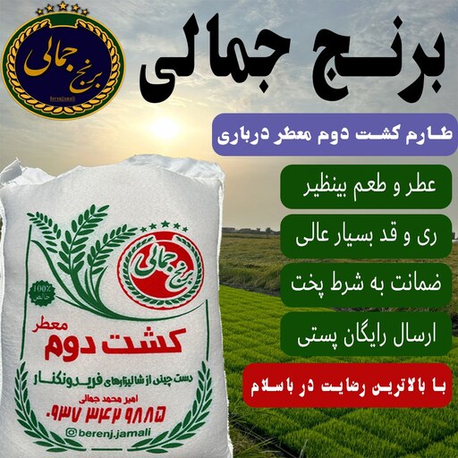 برنج کشت دوم درباری و ویژه  فریدونکنار  10 کیلو برنج جمالی