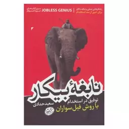 کتاب نابغه بیکار (توفیق در استخدام با روش فیل سواران) اثر  سعید حدادی انتشارات هورمزد 