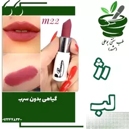 رژلب گیاهی بدون سرب کد M22