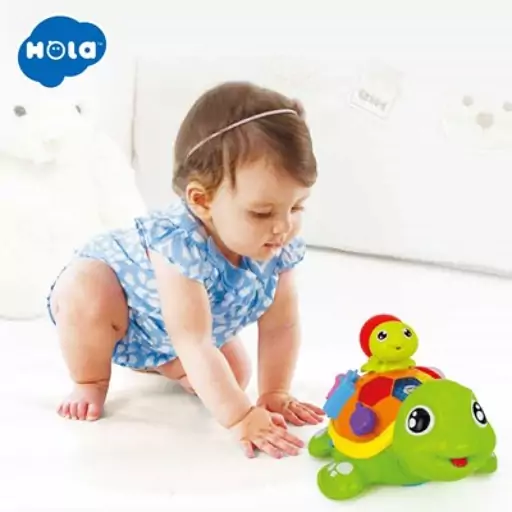 اسباب بازی موزیکال لاکپشت مادر و فرزند هولی تویز مدل 868 Hola Toys Parent-Child Tortoise Interactive Toy