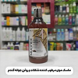 ماسک مو بدون سولفات داخل حمام ماسینکس مدل روغن گندم و شکلات حجم 500 میلی لیتر