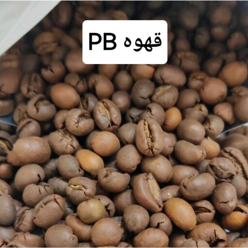 قهوه PB هند (1 کیلو)