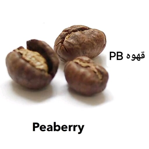 قهوه PB هند (1 کیلو)