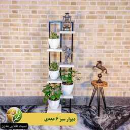 استند گلدان طرح دیوار سبز 6 عددی ، (هزینه ارسال به صورت پس کرایه)