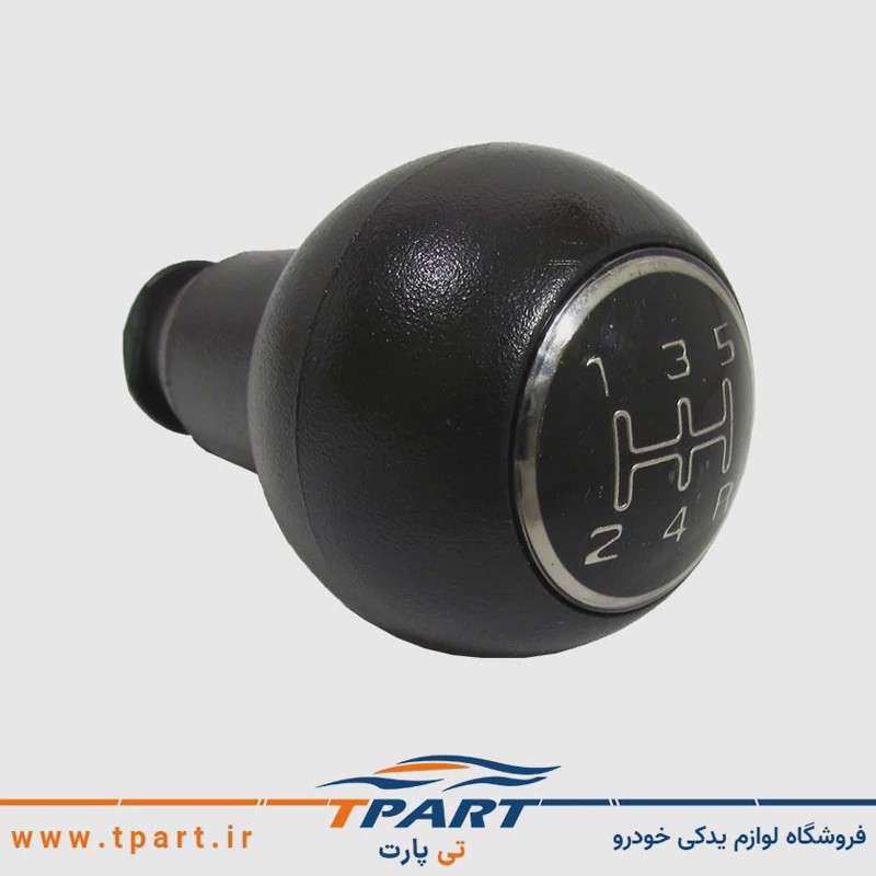 سر دنده تیبا