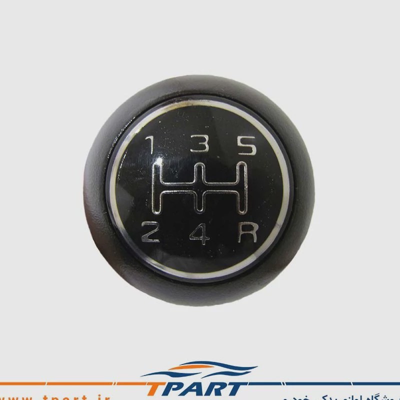 سر دنده تیبا و ریو