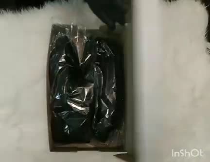 کفش  مردانه مجلسی مدل زالاندو