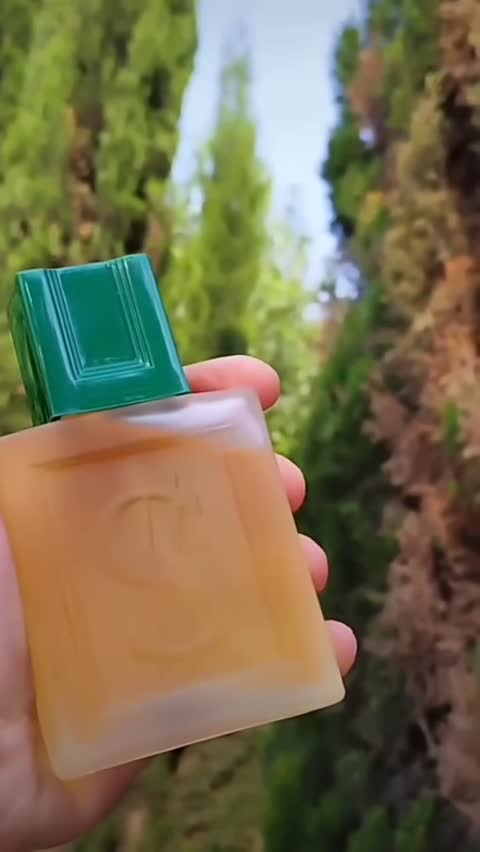 ادکلن دلار اصلی پاریس الیسیس Dollar for men