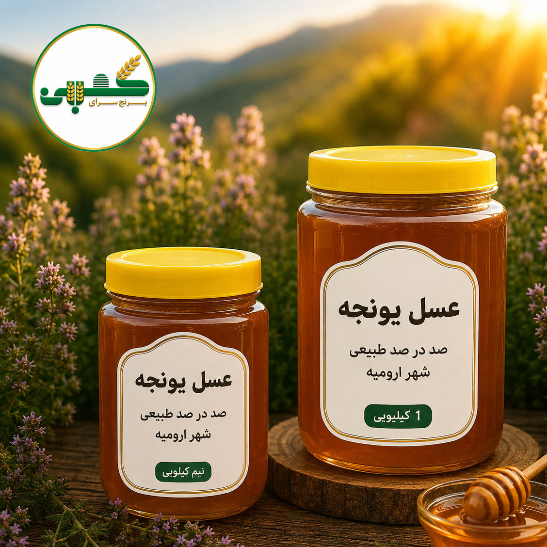 عسل طبیعی یونجه نیم کیلویی