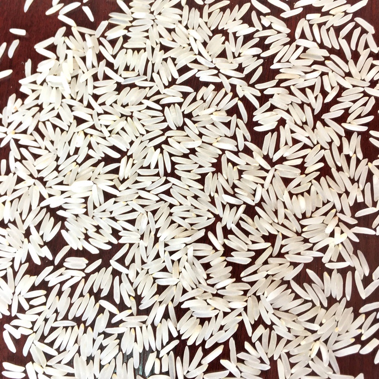 برنج فجر سوزنی گرگان