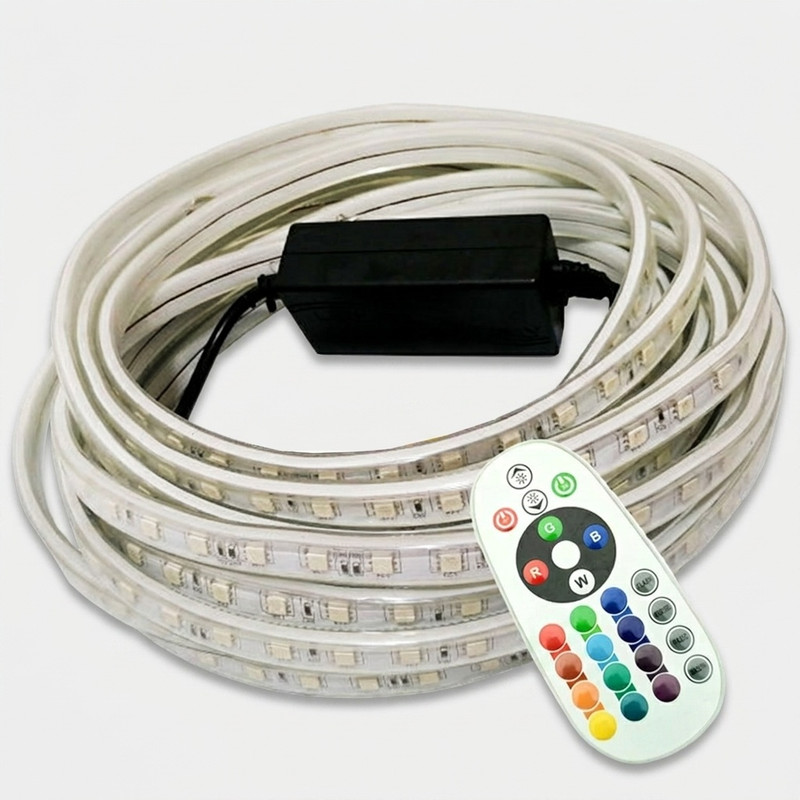 ریسه ال ای دی مدل شلنگی RGB طول 5 متر به همراه ریموت
