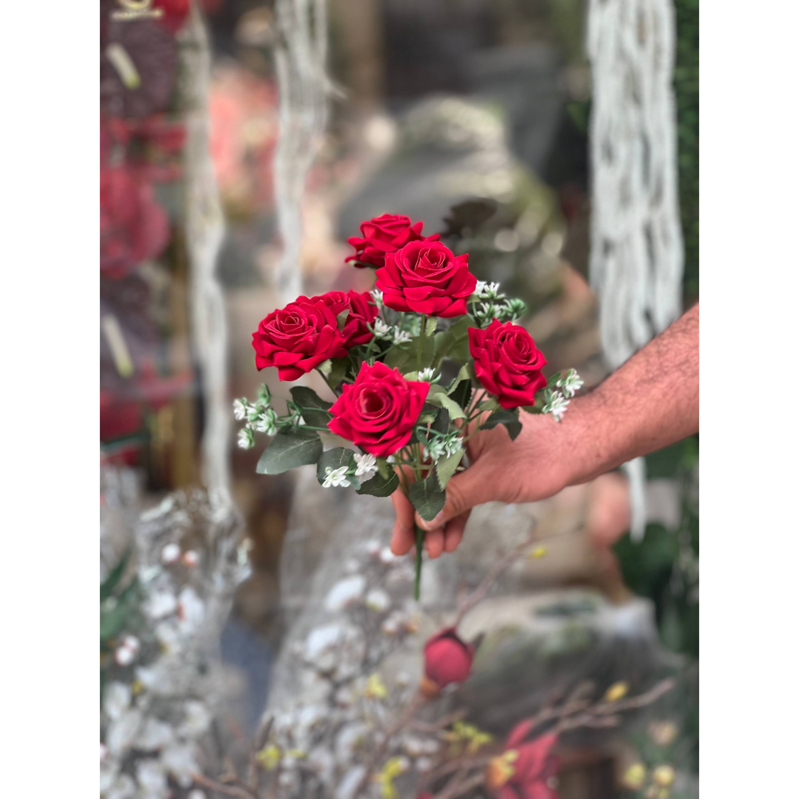 بوته رز مخملی 7 گل وارداتی