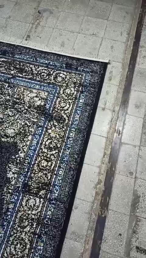 فرش ماشینی بی سی اف12 متری طرح ویهان