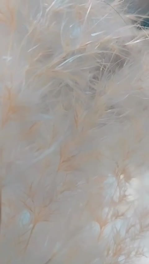هاردباکس مخمل و پلکسی خارجی