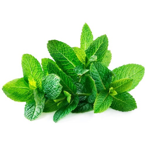 بذر نعناع