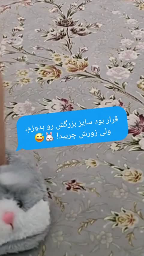 پاپوش پاگنده ی خرگوشی