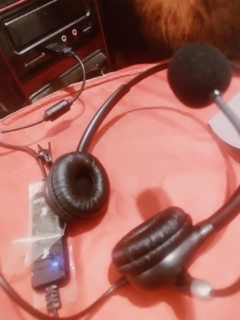 هدست یا هدمیک وینتک call center headst wantak
