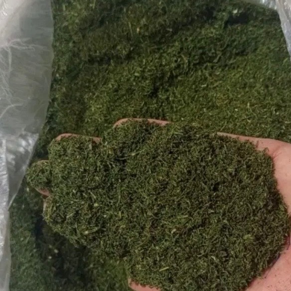 سبزی شیوید