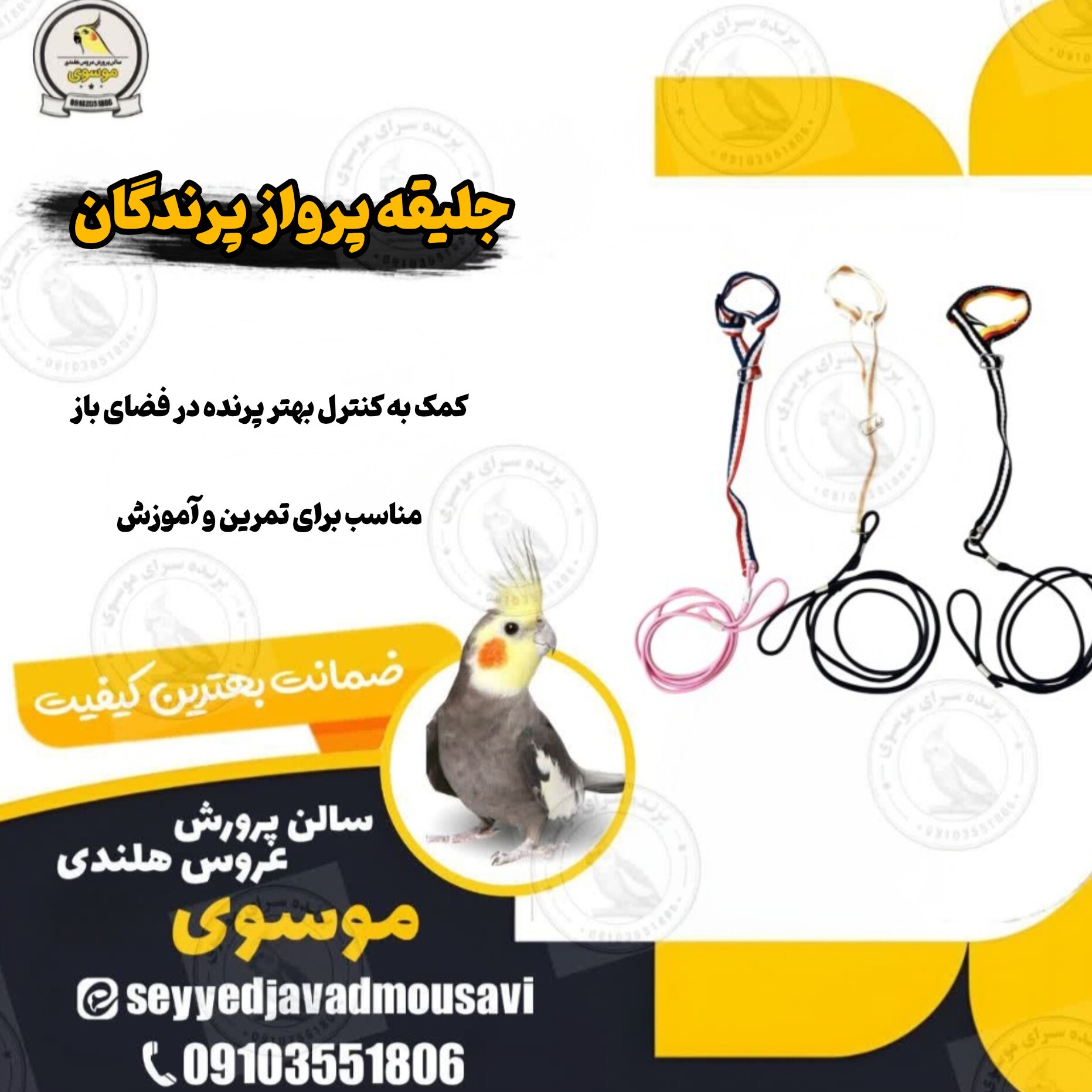 جلیقه پرواز پرندگان زینتی-پرواز ایمن
